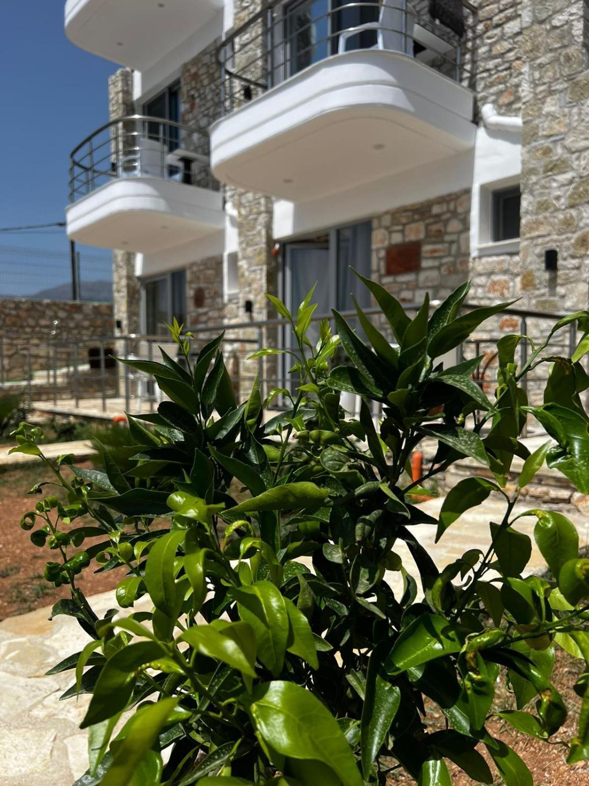 Noah'S Home Himare Bagian luar foto